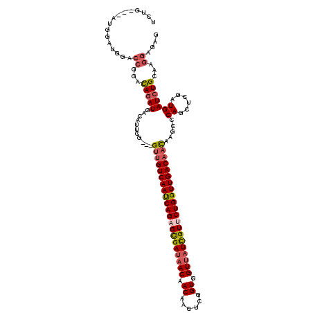 secondary structure