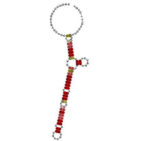 secondary structure