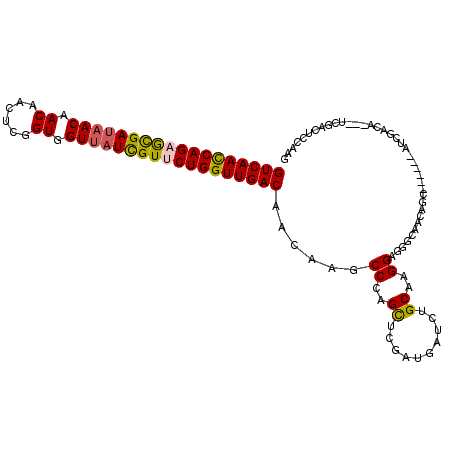 secondary structure