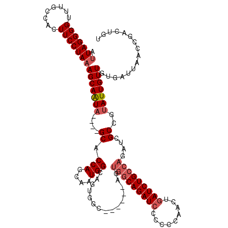 secondary structure