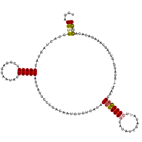 secondary structure
