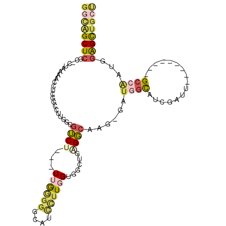 secondary structure