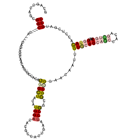 secondary structure