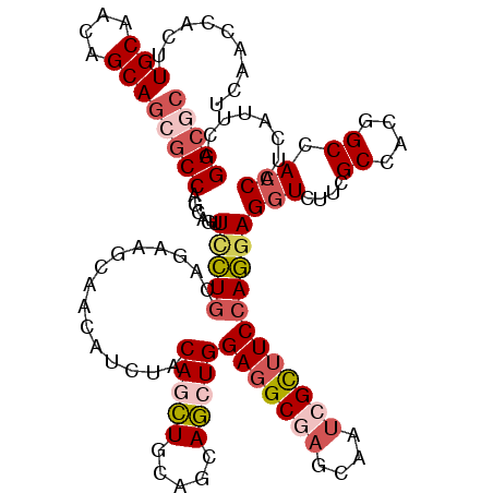 secondary structure