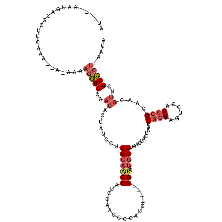 secondary structure
