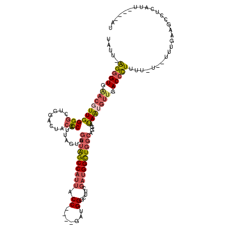 secondary structure