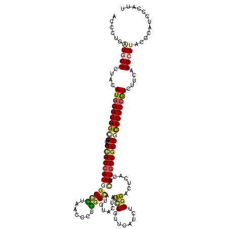 secondary structure