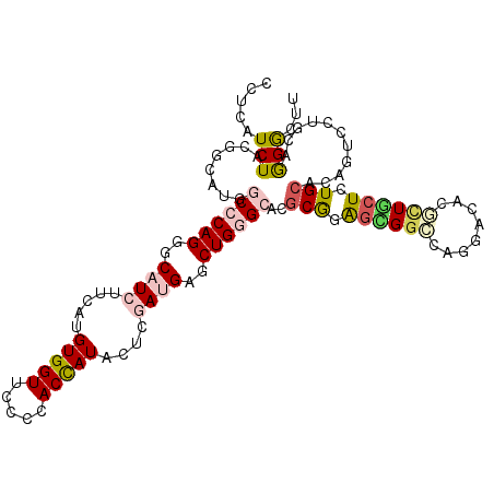secondary structure
