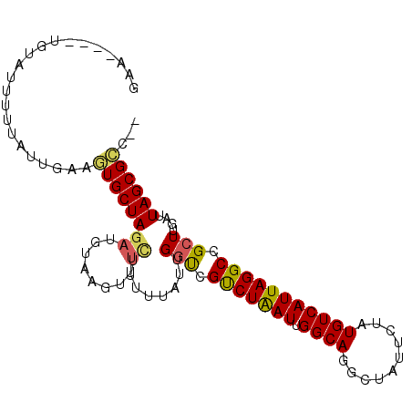 secondary structure