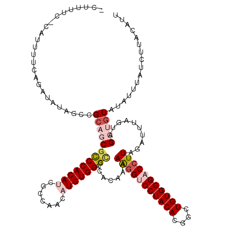 secondary structure