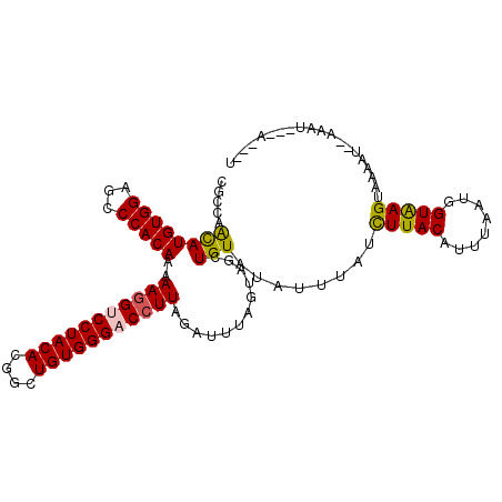 secondary structure