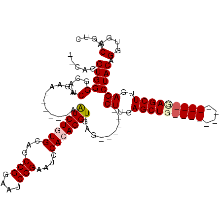secondary structure