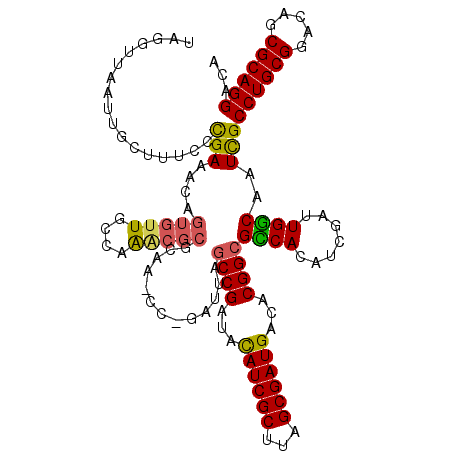 secondary structure