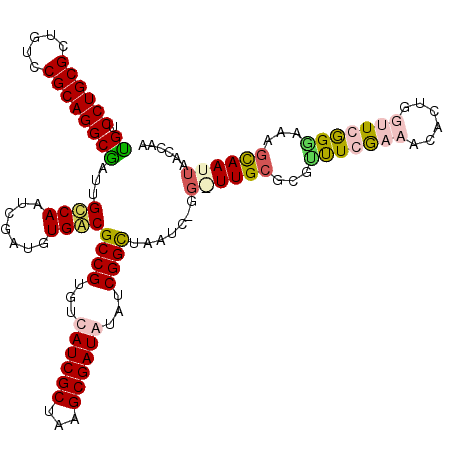 secondary structure