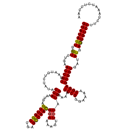 secondary structure
