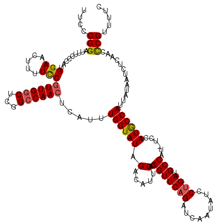 secondary structure