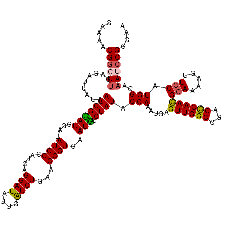 secondary structure