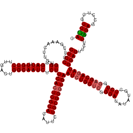 secondary structure