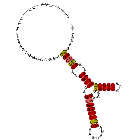 secondary structure