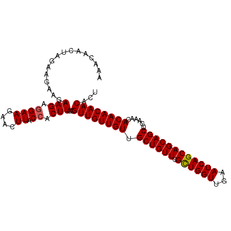 secondary structure