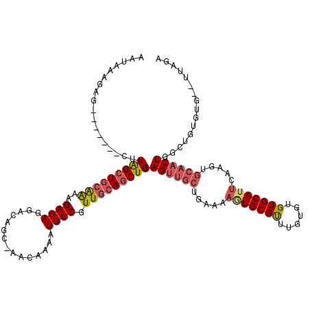 secondary structure
