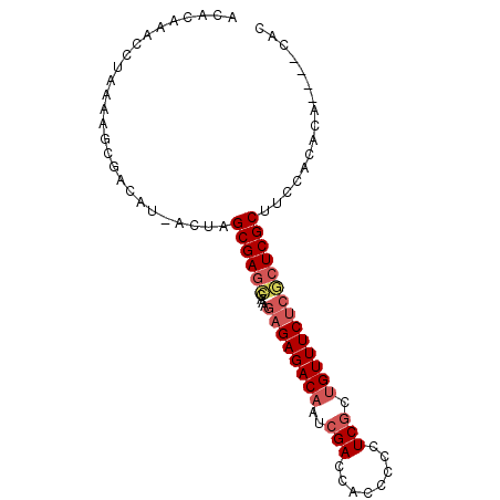 secondary structure