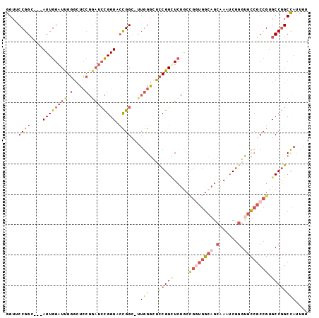 dotplot