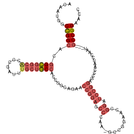 secondary structure