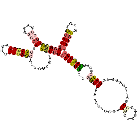 secondary structure
