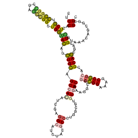 secondary structure