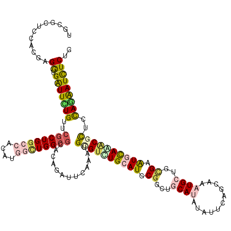 secondary structure