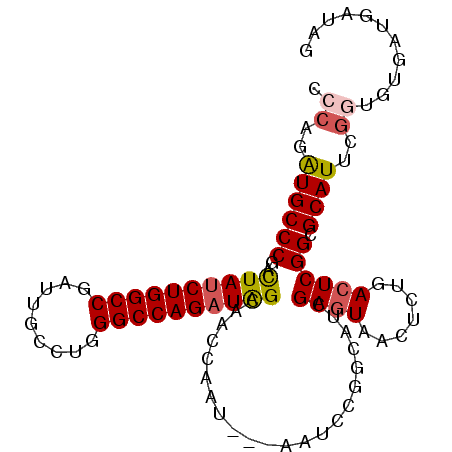 secondary structure