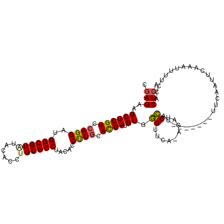 secondary structure