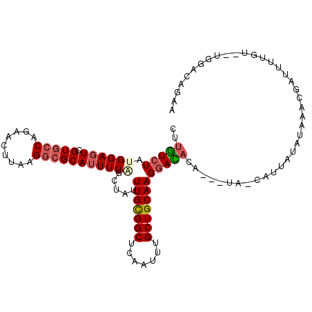 secondary structure