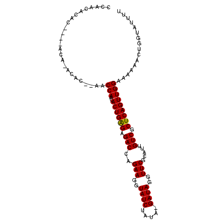 secondary structure