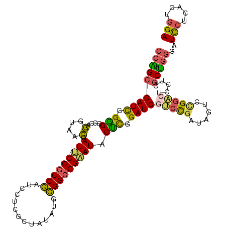 secondary structure