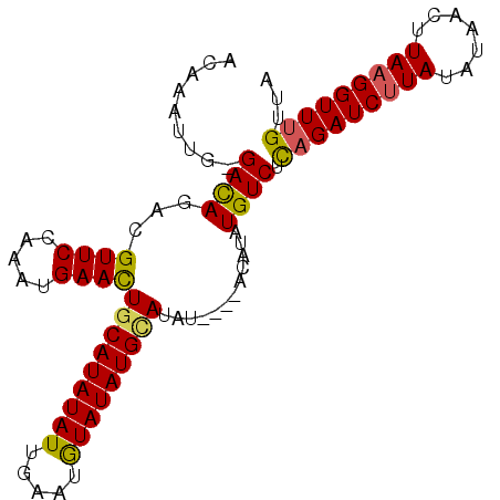 secondary structure