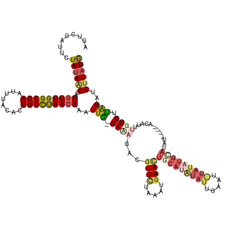 secondary structure