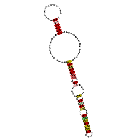 secondary structure