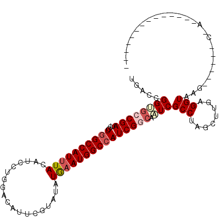secondary structure