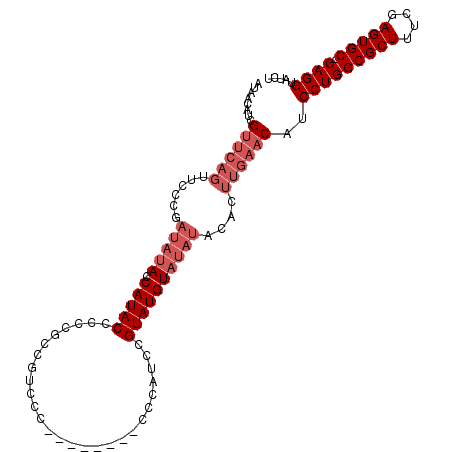 secondary structure