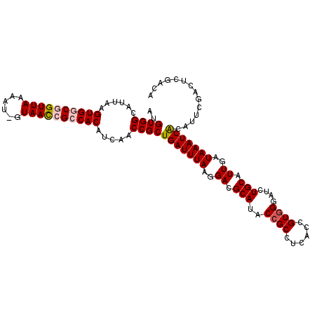 secondary structure
