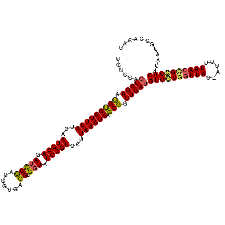 secondary structure