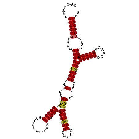 secondary structure