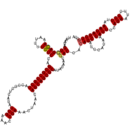 secondary structure