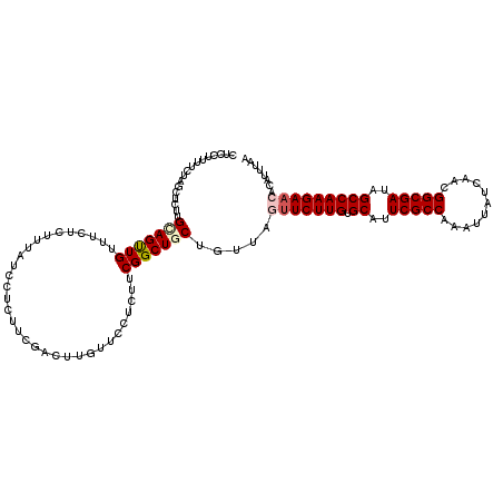 secondary structure