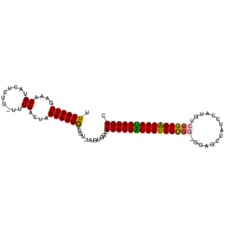 secondary structure
