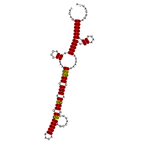 secondary structure
