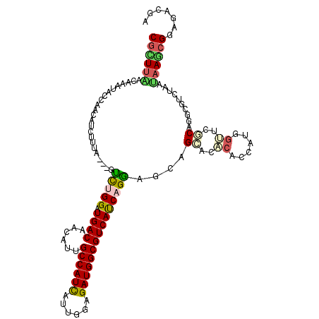 secondary structure