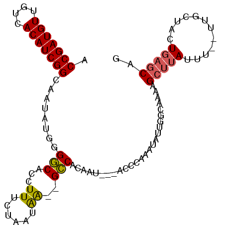 secondary structure